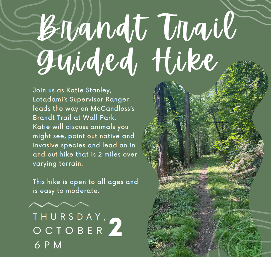 brandt trail hike SQ