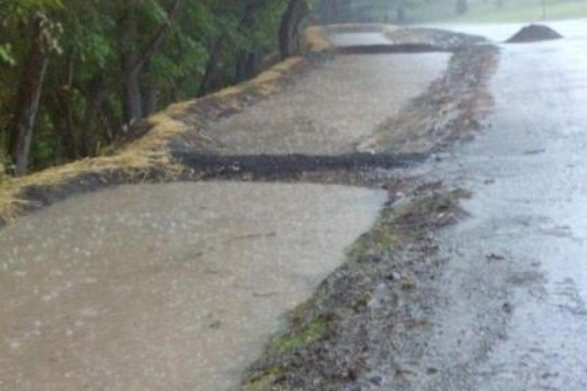 Garden Pits in the Rain