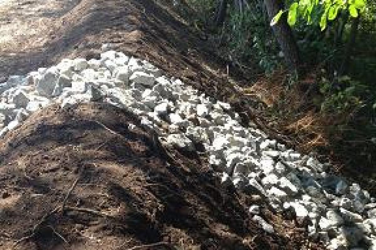 Row of Stone to Slow Overflow Runoff From the Gardens