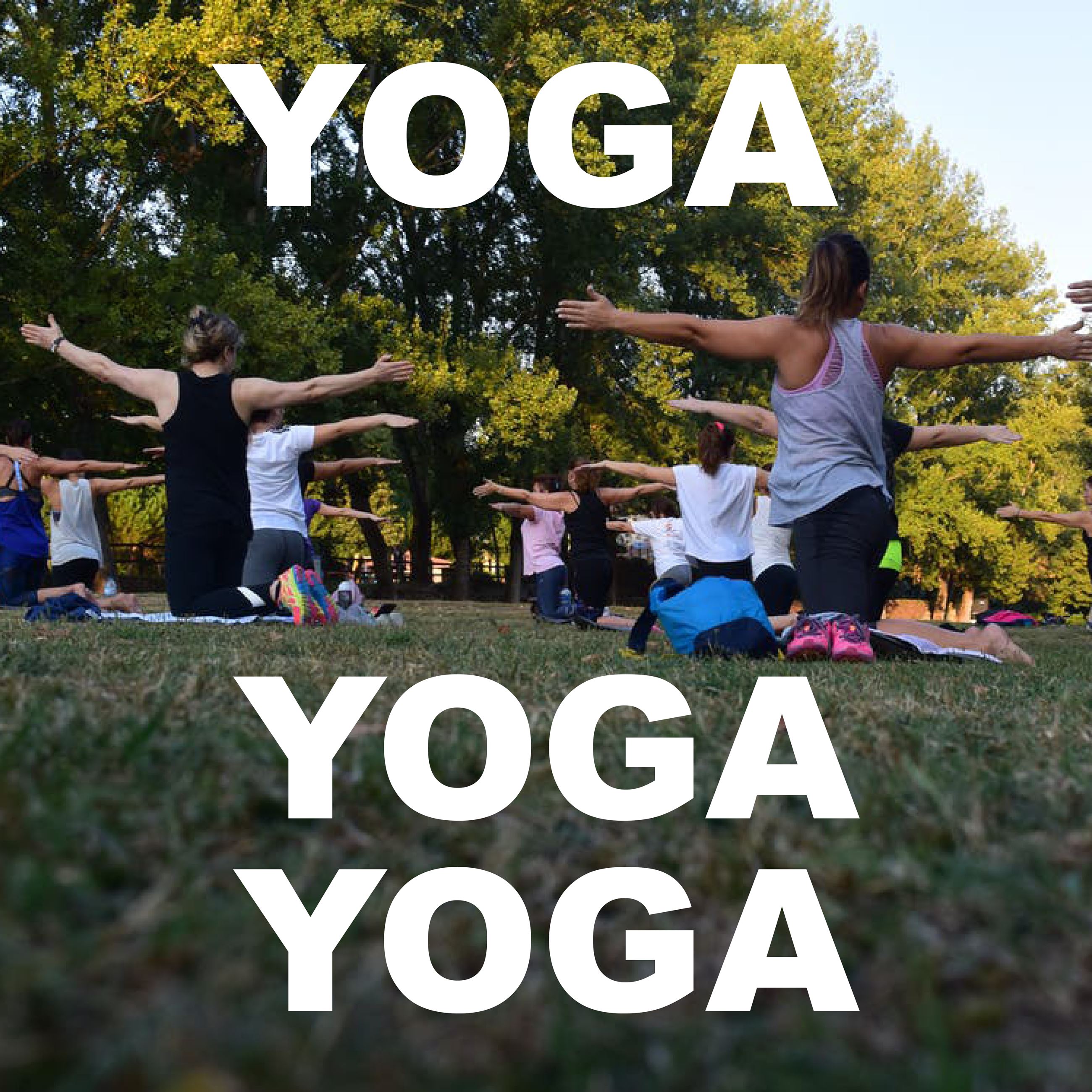 YOGA YOGA YOGA